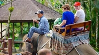 Tour to Bali Elephant Park